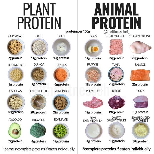 Are you getting enough protein? Want to add more to your daily diet and ...